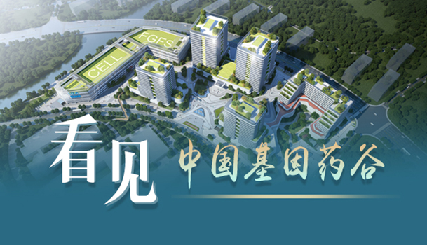 ��Ҋ(ji��n)�Ї�(gu��)����ˎ��