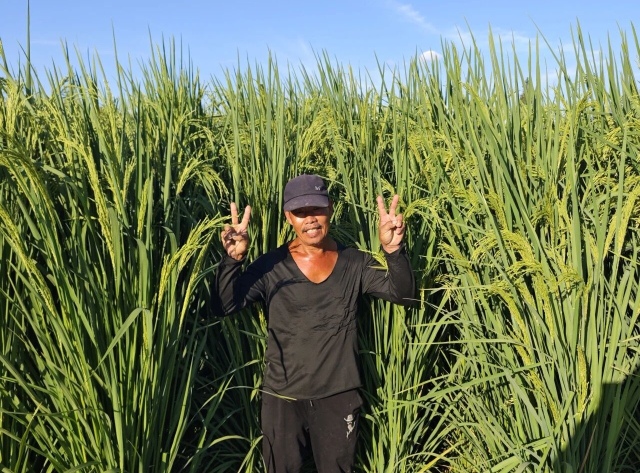 ��102��(g��)���������յ���(qi��ng)�帻�� �T����(qi��ng)�幫˾�������³˛���(m��ng)��������D��