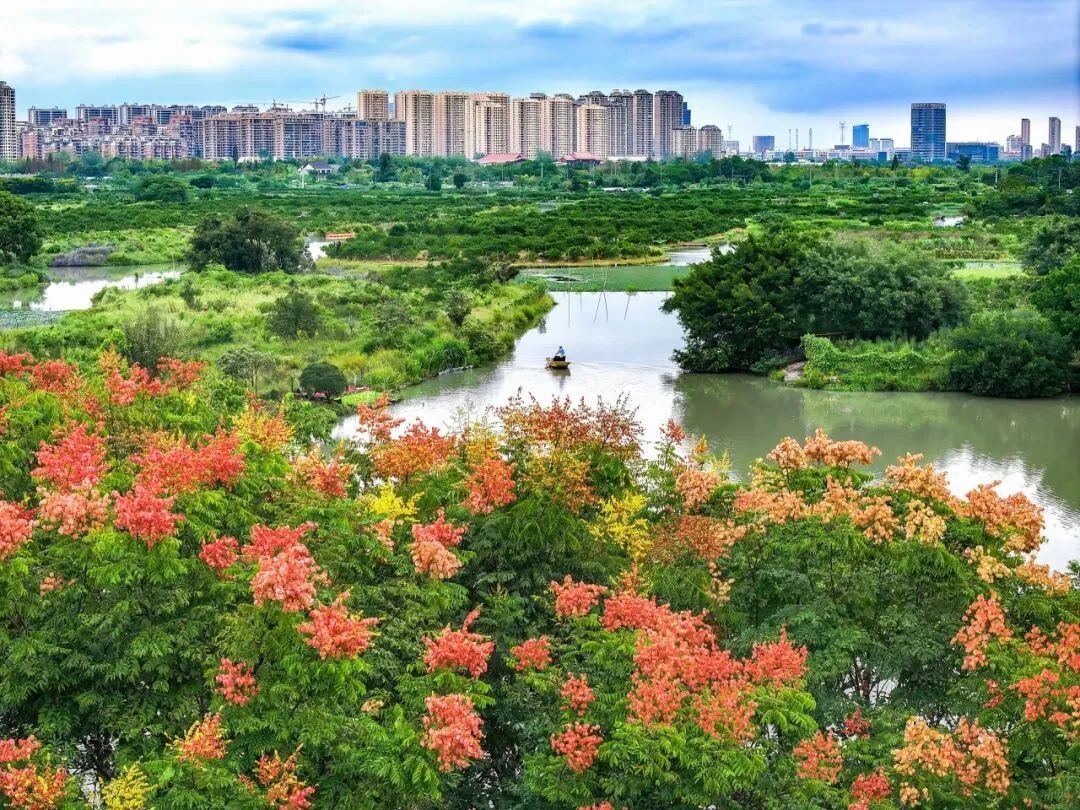 ҕ�Xζ���p���������ݵ����쾿���ж���������͸һ��