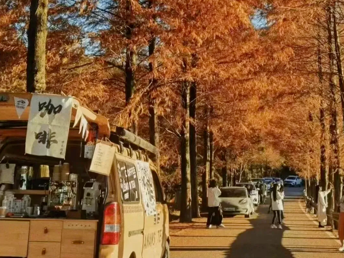 ���ռtɼʢ����7���·��+�м�������������ȫ���ԡ�