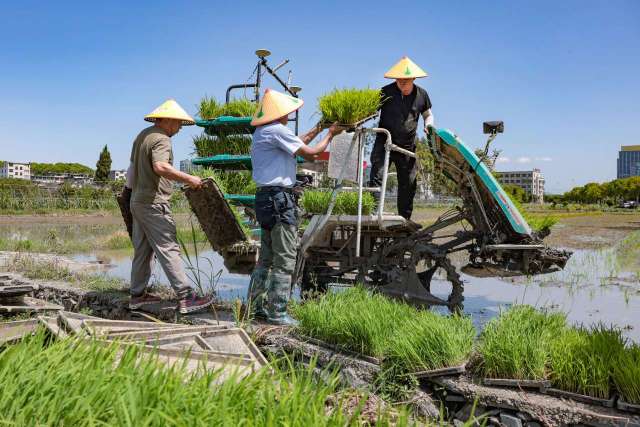 �ڮT�������|(zh��)���l(f��)չ�@���꣨2��ح�l(xi��ng)�����d����ֹһ�N�𰸹���ͬ;�ĮT���ⷨ