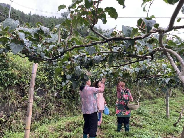 �w��������㕻�һ�l����· ���l(xi��ng)7�����T��һ��(du��)��D���Ѱٮ���ɽ�ĵ�